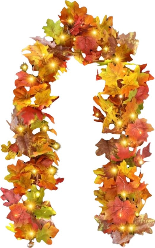 LED Sfregiante per Esterno - 40 Luminarie - Lunghezza 20 Ft - Ideale per la Decorazione d'Autunno
