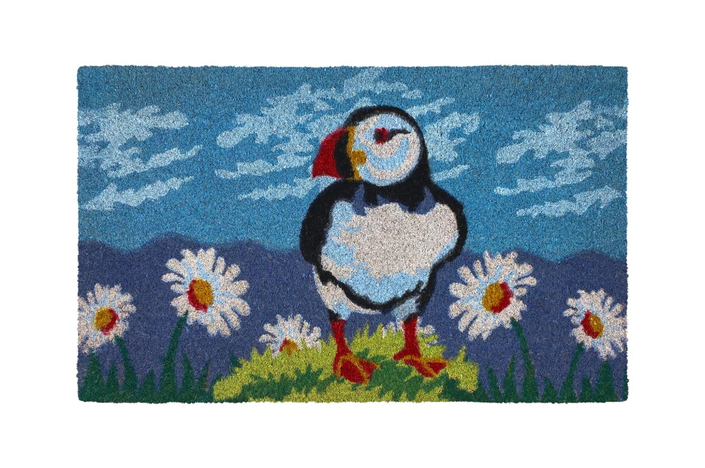 Zerbino Ingresso Casa In Fibra Di Cocco Con Base In Pvc  Penguin