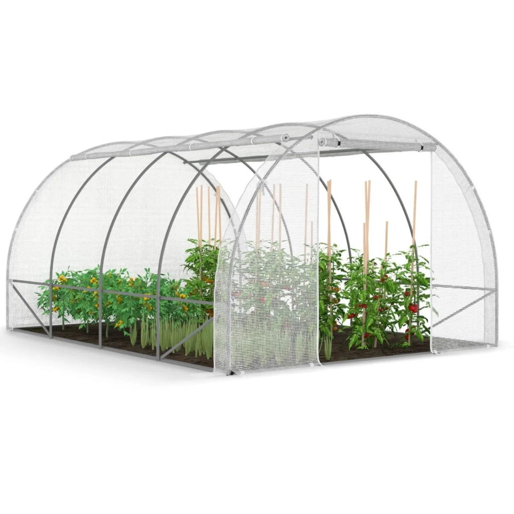 IDMarket - Serra da giardino a tunnel da 12 m² (4 x 3 x 2 m) in acciaio zincato + telo anti-UV con porta e finestre ZEBRA bianche per tutte