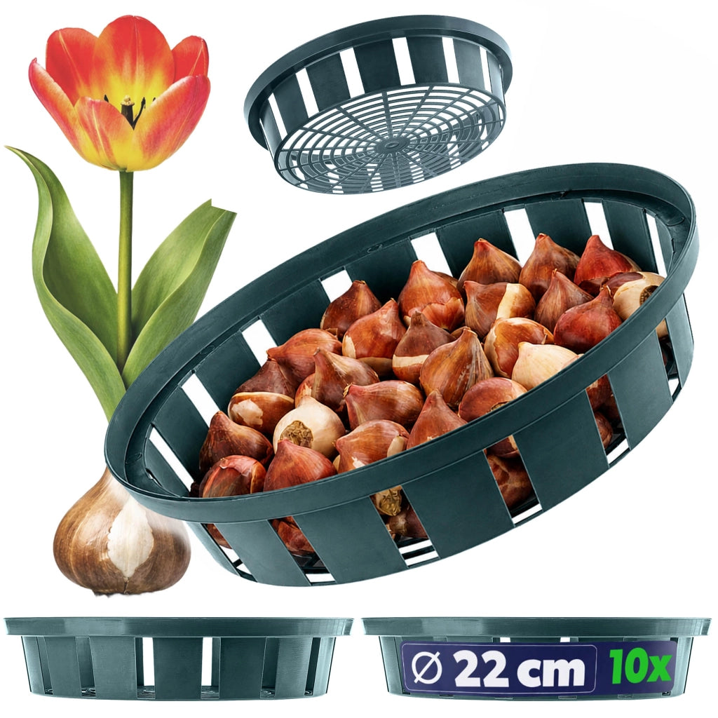 Cesti KADAX per piantare tulipani e bulbi da fiore, 18 cm, 10 pezzi