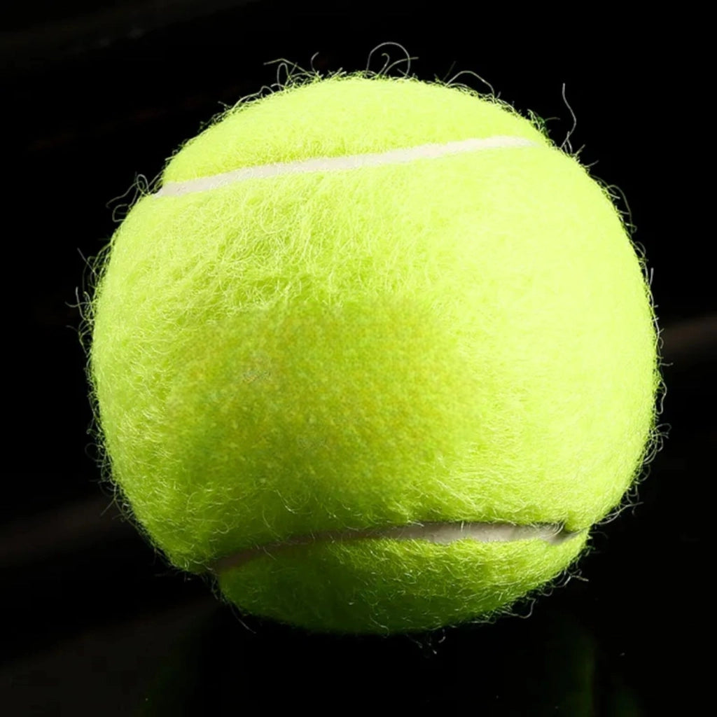 Set 3 palle da tennis gialle padel gioco per animali allenamento racchetta 06488