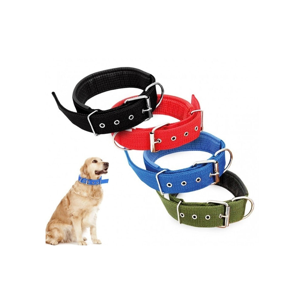 Trade Shop - Collare In Nylon Con Imbottitura Per Cani Tg. Grande Chiusura Fibbia Regolabile -
