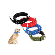 Trade Shop - Collare In Nylon Con Imbottitura Per Cani Tg. Grande Chiusura Fibbia Regolabile -