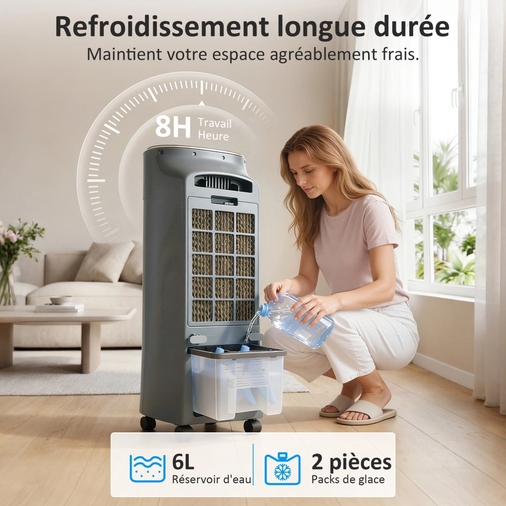 Climatizzatore portatile 4 in 1 umidificatore purificatore ventilatore ¨C zephmum ¨C grigio
