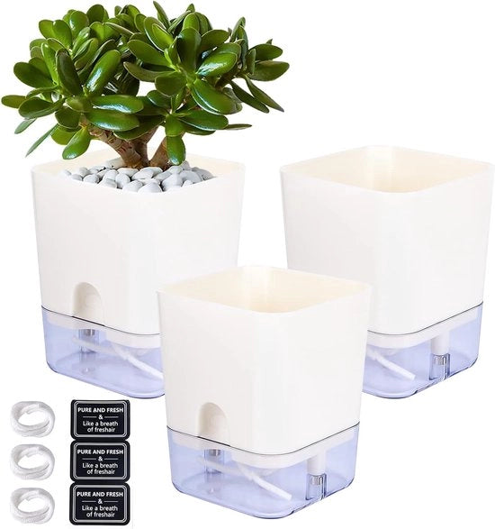 Pianta automatica da giardino e cucina, 3 Pianta, Vaso per piante con sistema di autoirrigazione e serbatoio d'acqua per vasi da cucina e da giardino all'aperto e interno (11 x 16 x 9 cm)