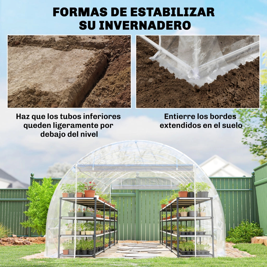 Serra Tunnel 6x3x2 m ¨C zephmum ¨C 2 Porte Avvolgibili Struttura Acciaio Galvanizzato Copertura PE Anti-UV