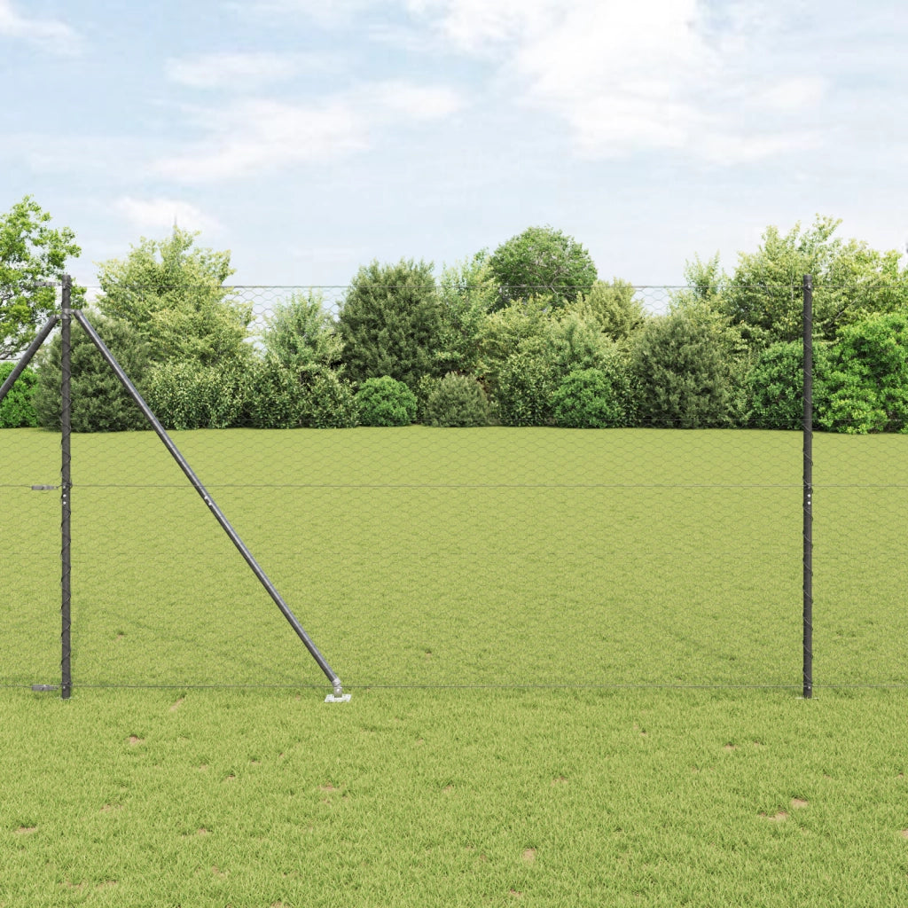 Recinto Esagonale  Grigio 1,5x50 m Acciaio