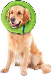 Cinturino chirurgico per cani dopo intervento XL - Prevenzione di ferite al contatto