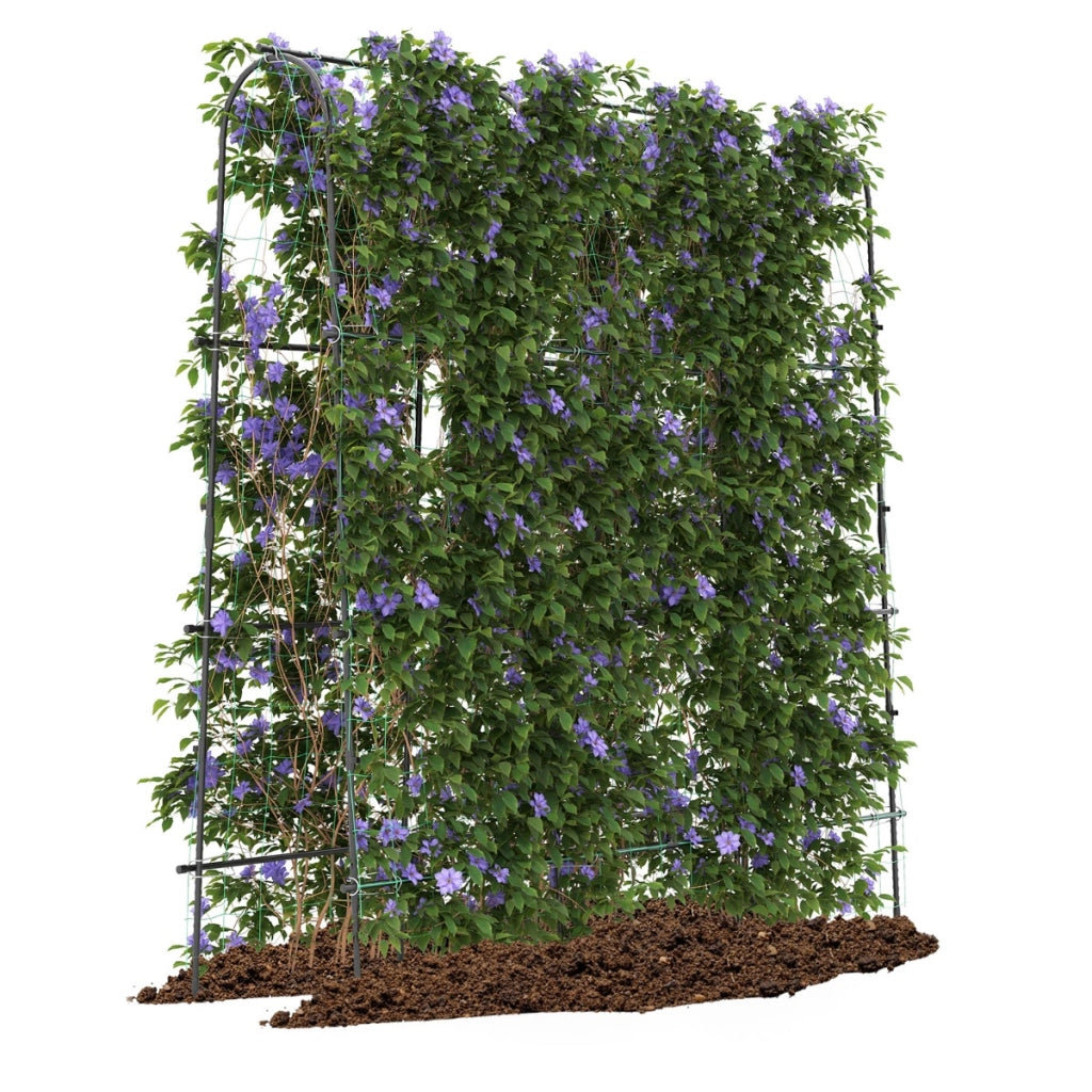 Supporto per piante rampicanti ad arco a forma di U-Trellis alto per cetrioli da letto rialzato 179 x 180 cm