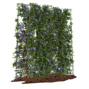 Supporto per piante rampicanti ad arco a forma di U-Trellis alto per cetrioli da letto rialzato 179 x 180 cm