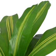 Dracena Pianta Artificiale con Vaso 90 cm Verde CFW4205860