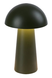 Lampada da tavolo LED portatile verde Mireo Rabalux