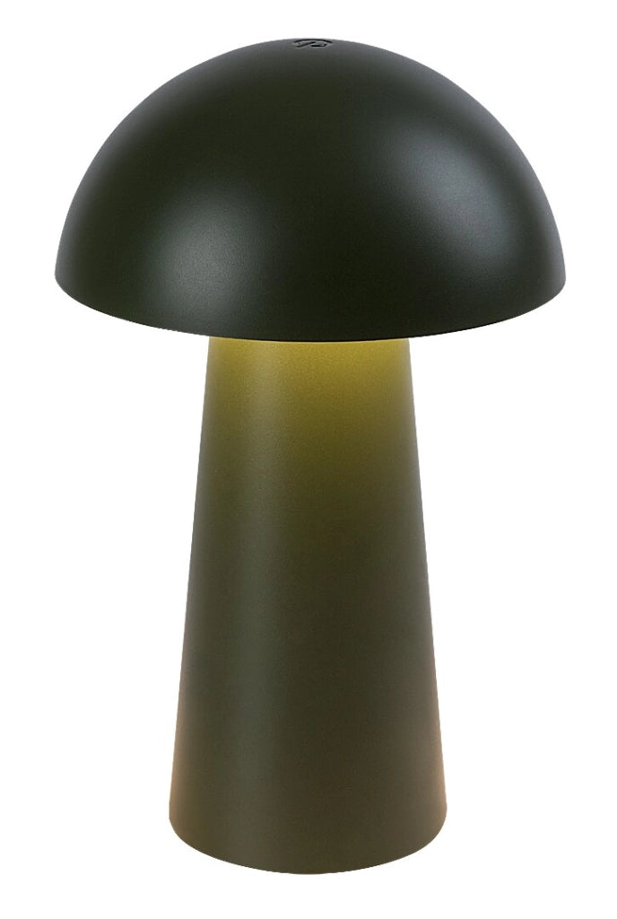 Lampada da tavolo LED portatile verde Mireo Rabalux
