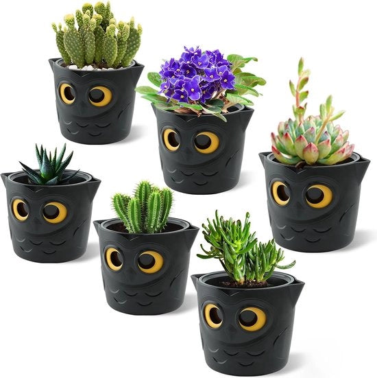 3 contenitori per piante, 12 cm, contenitori per piante autosufficienti per piante da appartamento, vasi di plastica con indicator di livello di acqua uccellino, per viole africane, piante grasse, monstera