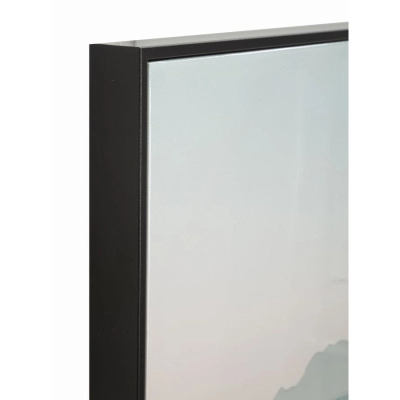 Stampa Su Tela Laccata Con Cornice Cactus -b- cm 60x4x90
