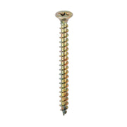 VITE TRUCIOLARE TSP 6X100MM TROPICALIZZATA