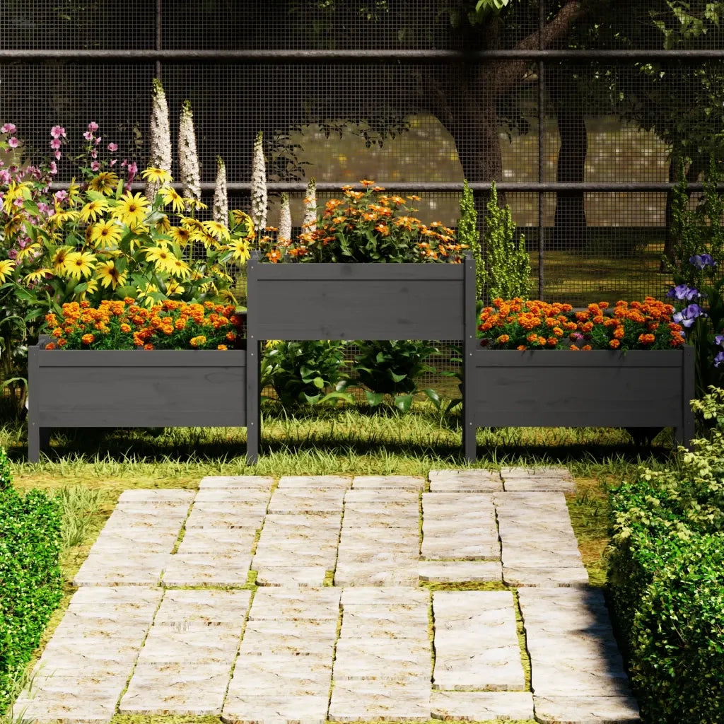 Fioriera | Cassetta per fiori | Vaso Grigia 245,5x44x75 cm in Legno Massello di Pino