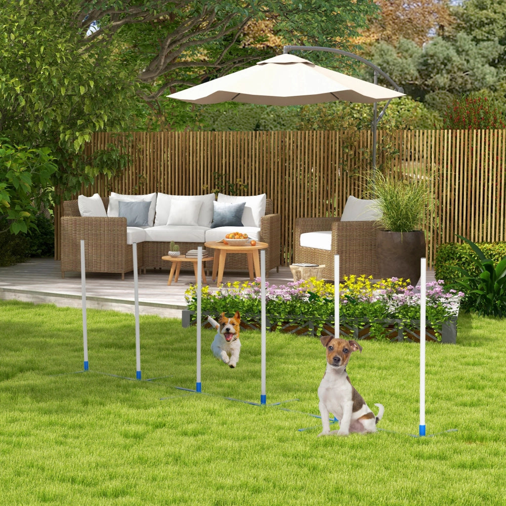 Set Agility per Cani 6 Pezzi ¨C Xylo ¨C Ostacoli Pieghevoli con Slalom e Borsa Trasporto