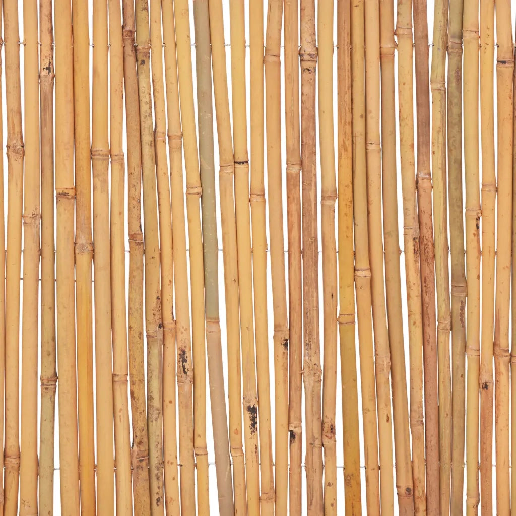 Recinzione in BambÃ¹ 500x30 cm