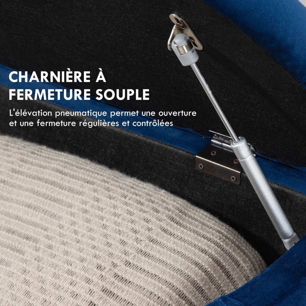 Pouf Contenitore Capitonn¨¦ Semicircolare ¨C Xylo ¨C Velluto Blu con Gambe in Legno Nero