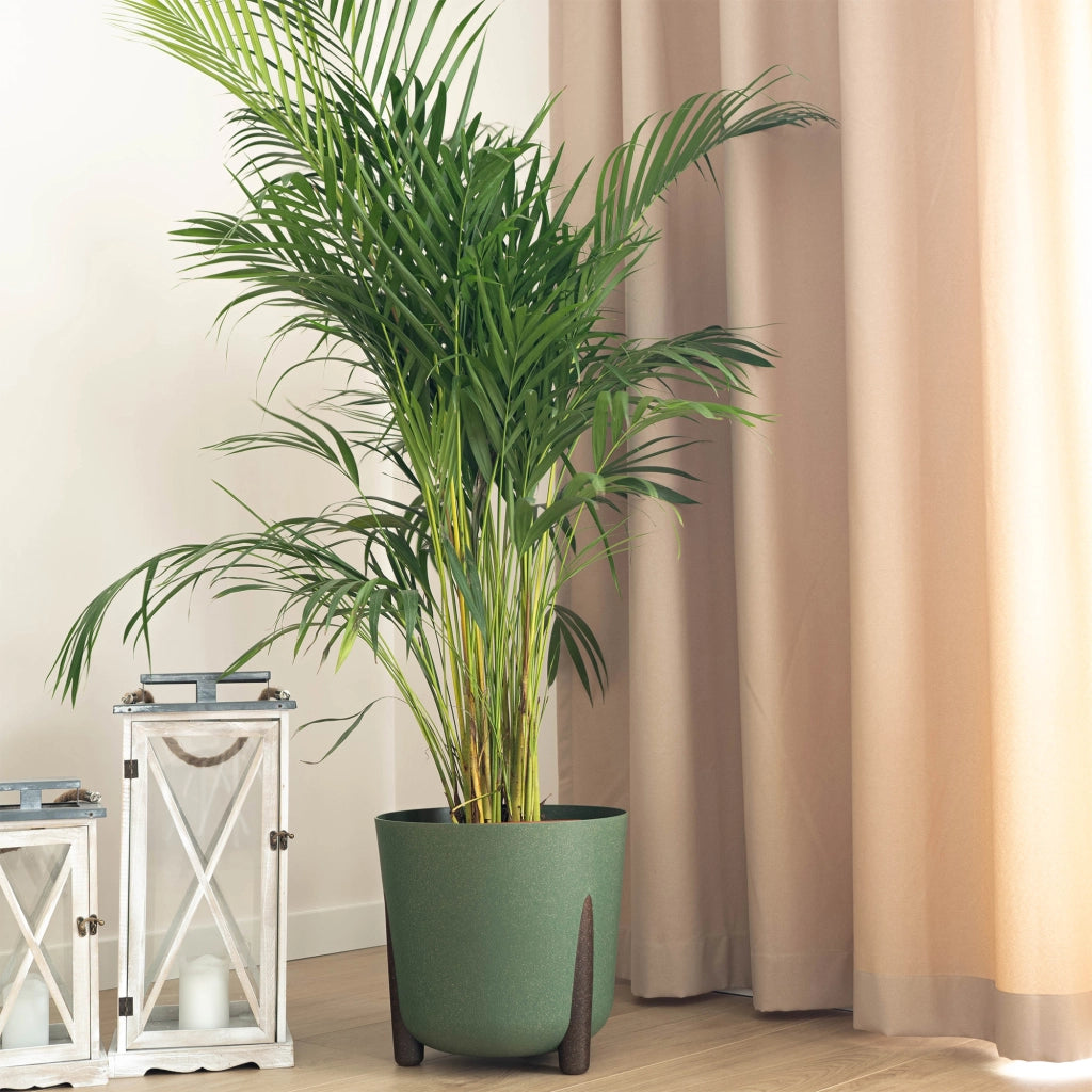 Vaso da fiori KADAX, coprivaso, con gambe, con inserto, moderno, verde, 34 cm