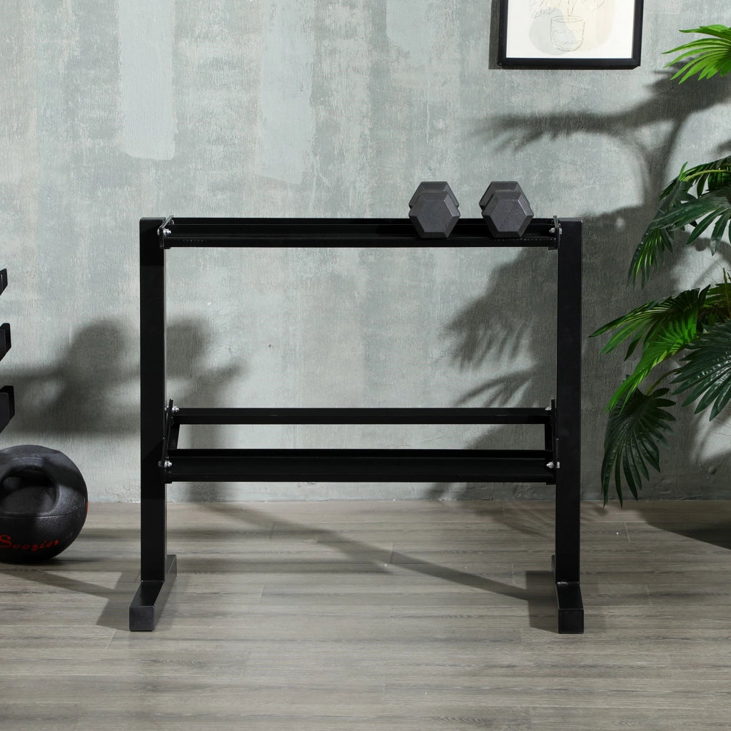 Easycomfort Porta Pesi con 2 Ripiani in Acciaio per Palestra, Casa e Ufficio, 94x52.5x82cm, Nero