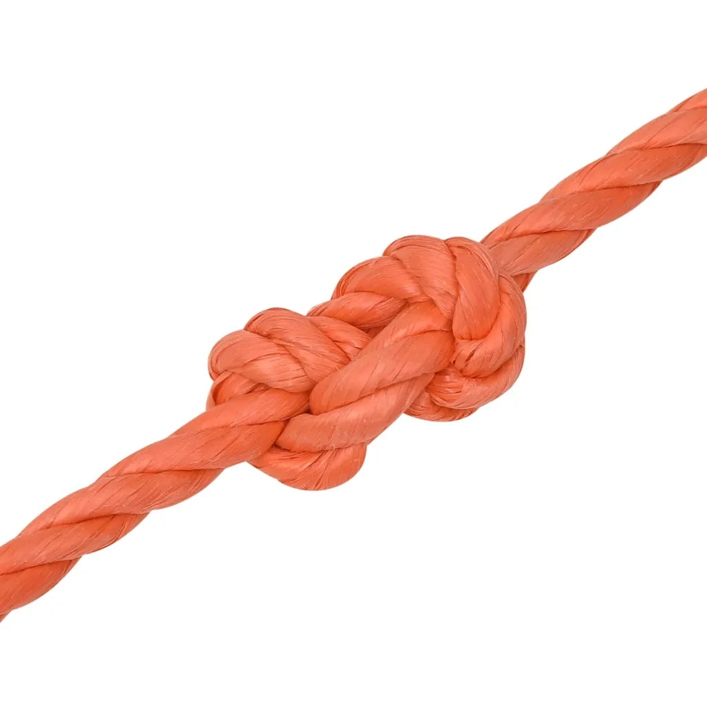Corda da Lavoro Arancione 20 mm 100 m in Polipropilene 152953