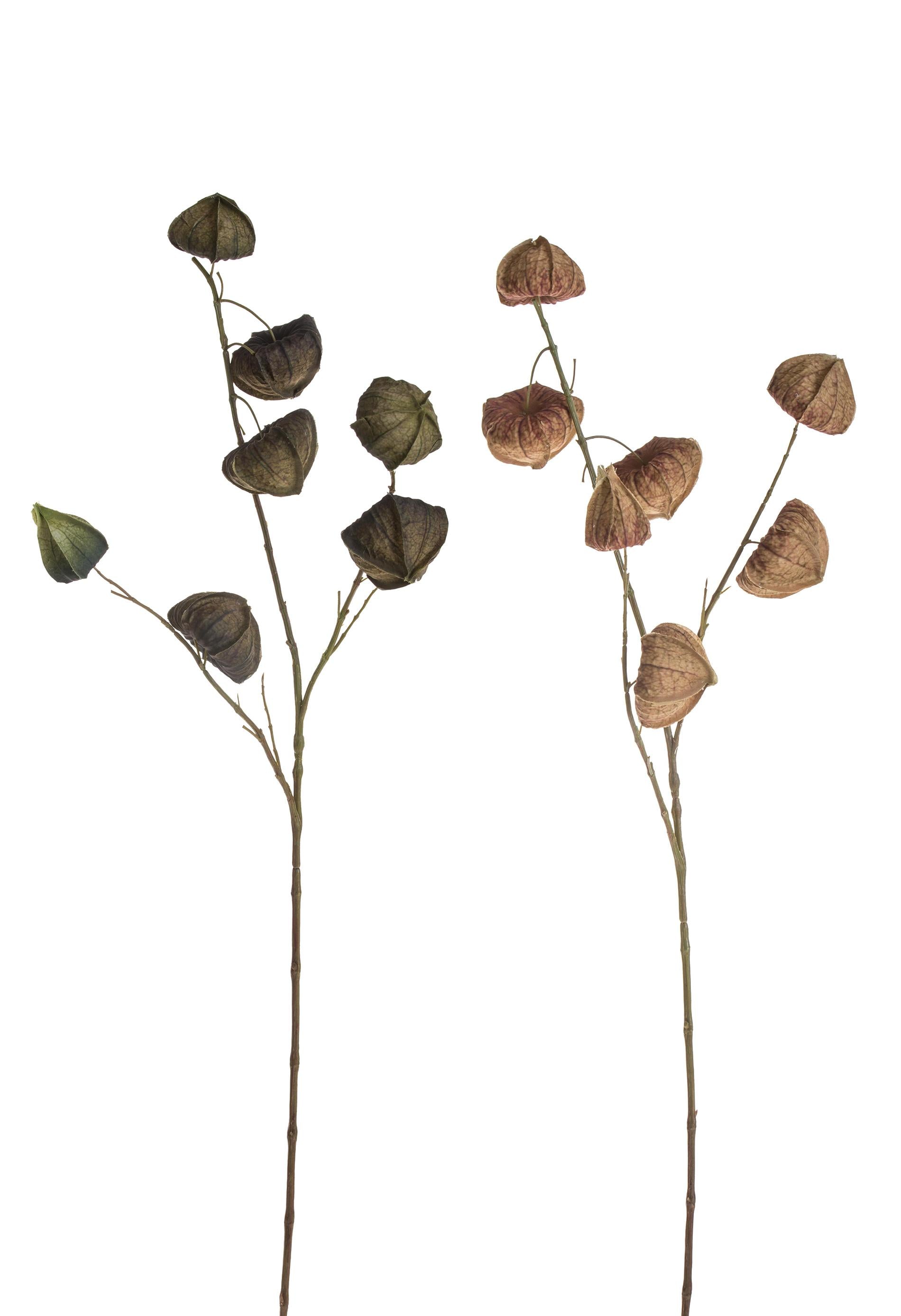 Set 4 Rami Artificiali di Phisalis Altezza 81 cm Multicolore