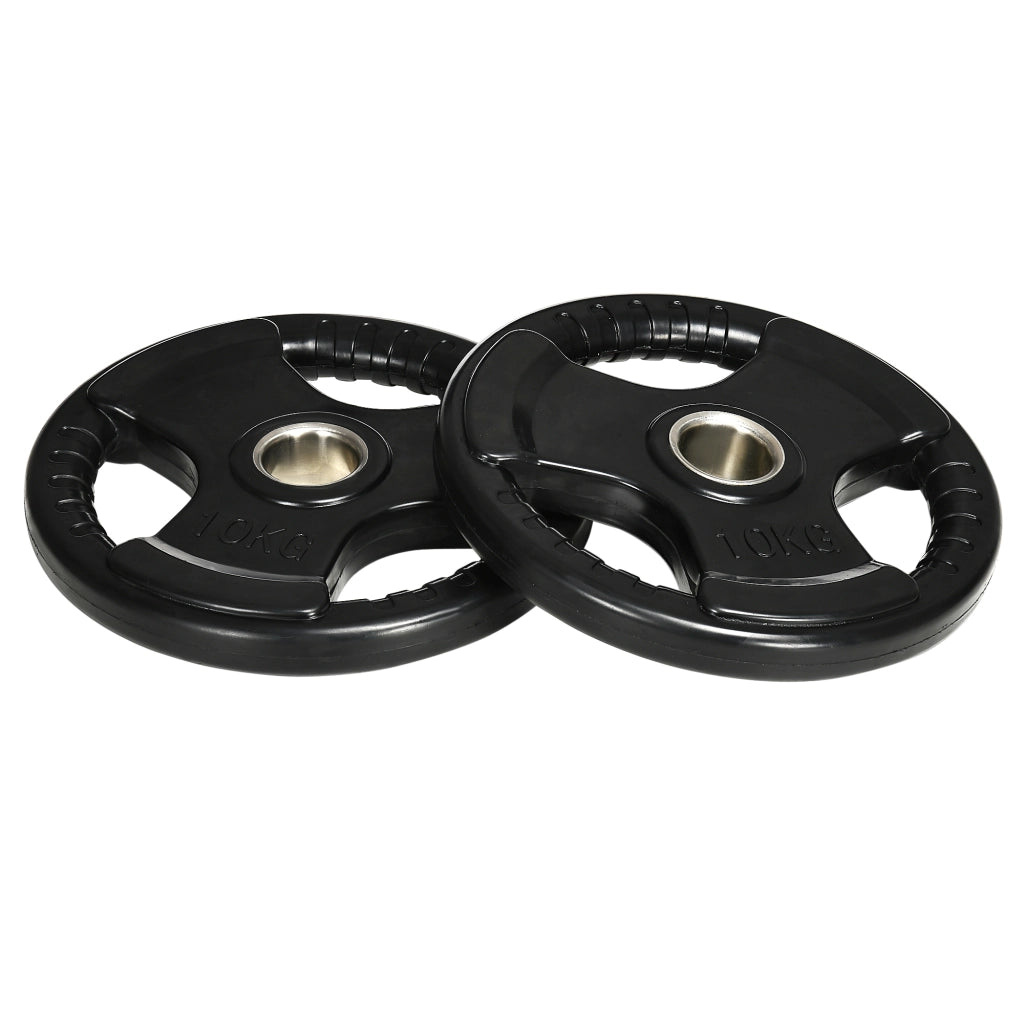 Disco per Manubrio ¨C Xylo ¨C 10 kg, Set da 2, Rivestimento in Gomma, 3 Impugnature