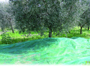 Confine RETE PER OLIVE TIPO CALABRESE (gr/mq 32) rotolo mt. 5x200