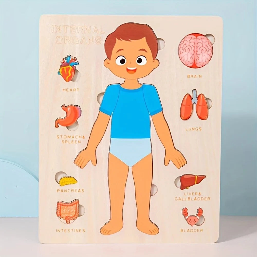 Trade Shop - Puzzle In Legno Educativo A Incastro Per Bambini Anatomia Organi Corpo Umano Bambino 32347 -
