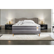 Pacchetto letto completo - Materasso 160x200cm + Box spring con doghe (kit) + 2 cuscini + Piumino - Trente