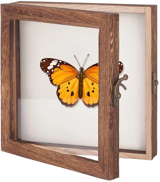 Vetrina per insetti in legno - Presentazione insetti - Scatola di conservazione - Scatola di ombra - Superficie trasparente - Dimensioni 20,3 x 20,3 x 4,7 cm - Cassa da esposizione