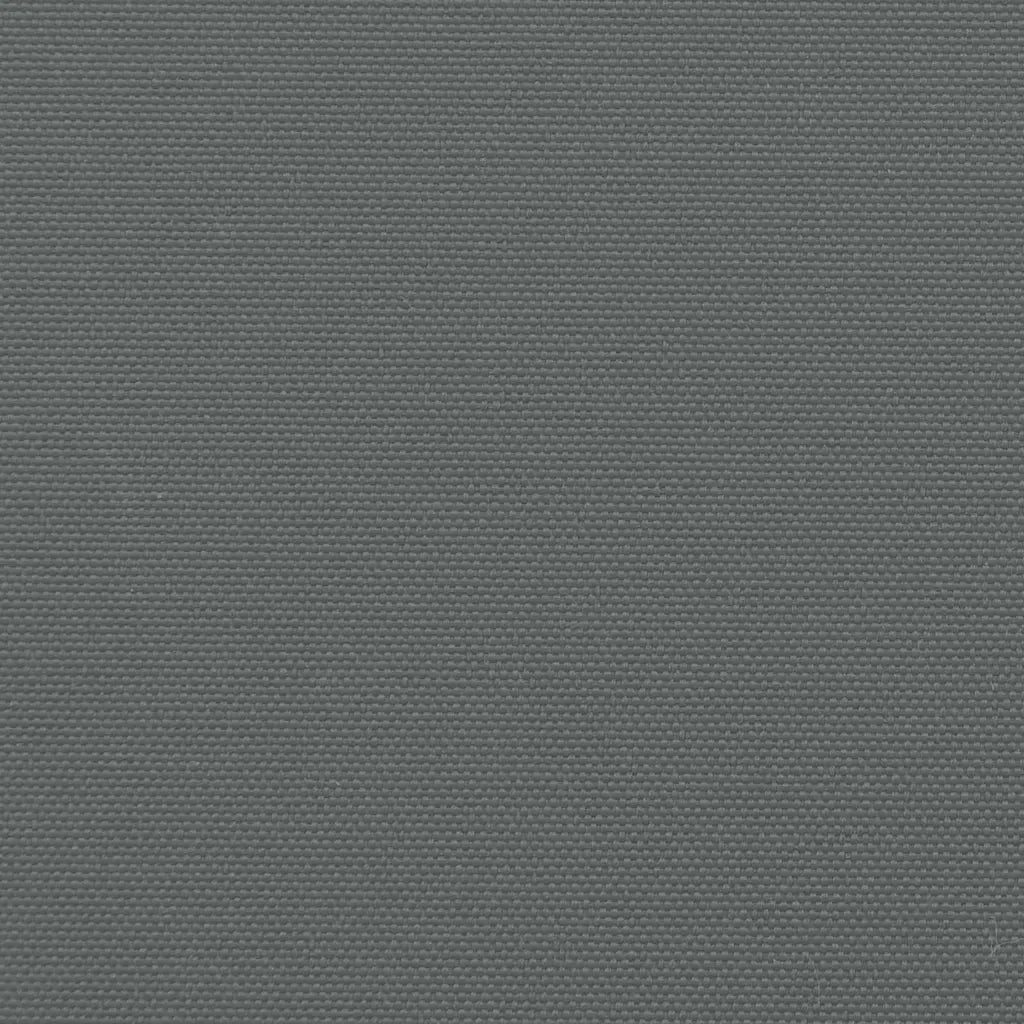 Tenda da Sole Laterale Retrattile Antracite 100x600 cm 4004583