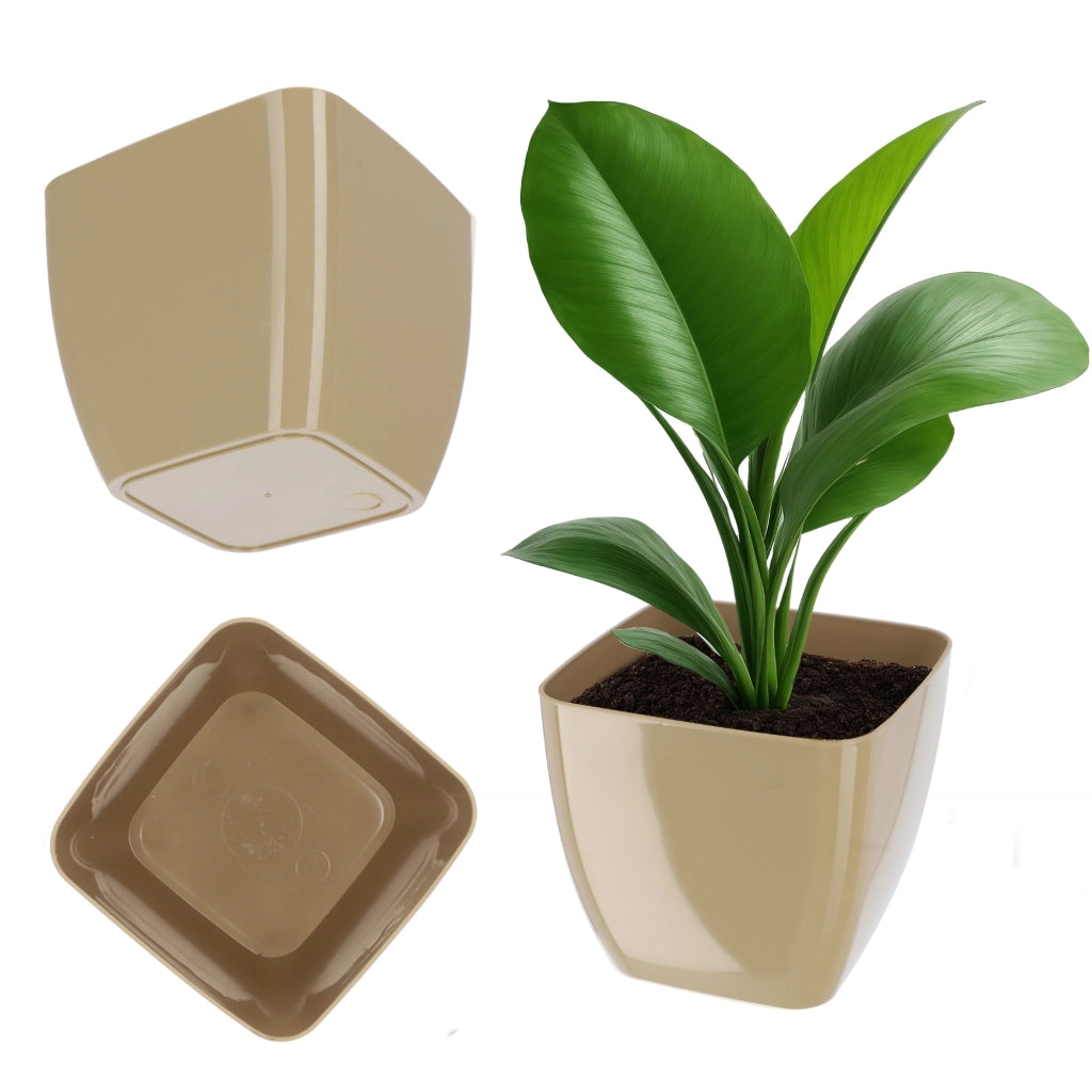 Vaso da fiori KADAX, Vaso da fiori, Quadrato, 16 cm, Plastica, Supporto per fiori, Beige