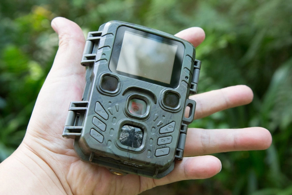 Camera Wild 1080P 12MP IP56 PIR IR 18m per Osservazione Fauna, TX-117