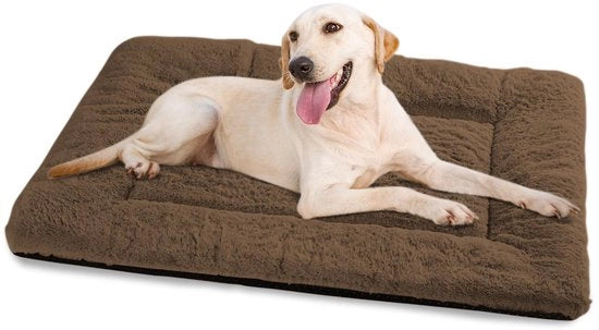 Letto per Cani Grande, Lavabile, 122 x 75 cm, Cuscino per Cani morbido con fondo antiscivolo, Letti per Cani XXL per Cani Grande, Miele