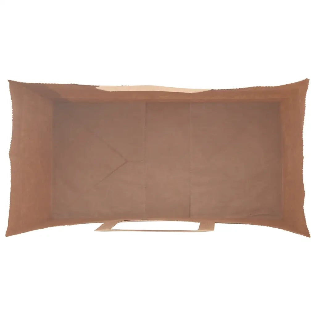 Sacchetti di Carta 250 pz con Manici Neri 21x11x31 cm