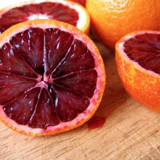 Arancio Fragola frutto interno rosso in vaso 20 cm AMDGarden