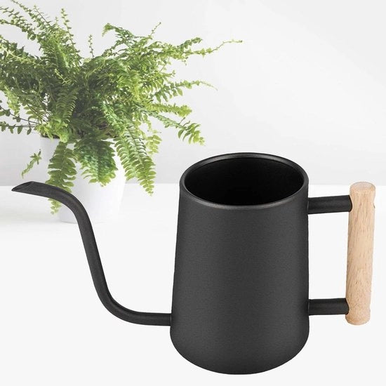 Giocatore 1 litro nero acciaio inossidabile con lungo scarico per piante da esterno - concimatore per piante da giardino
