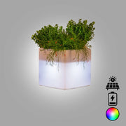 Vaso luminoso moderno di design 40x40 H40 in polimero resistente con LED multicolor con bateria e solare per interno ed esterno - Made in Italy