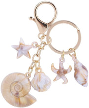 Sostegno per chiave in forma di stella di mare e conchiglia per decorazione