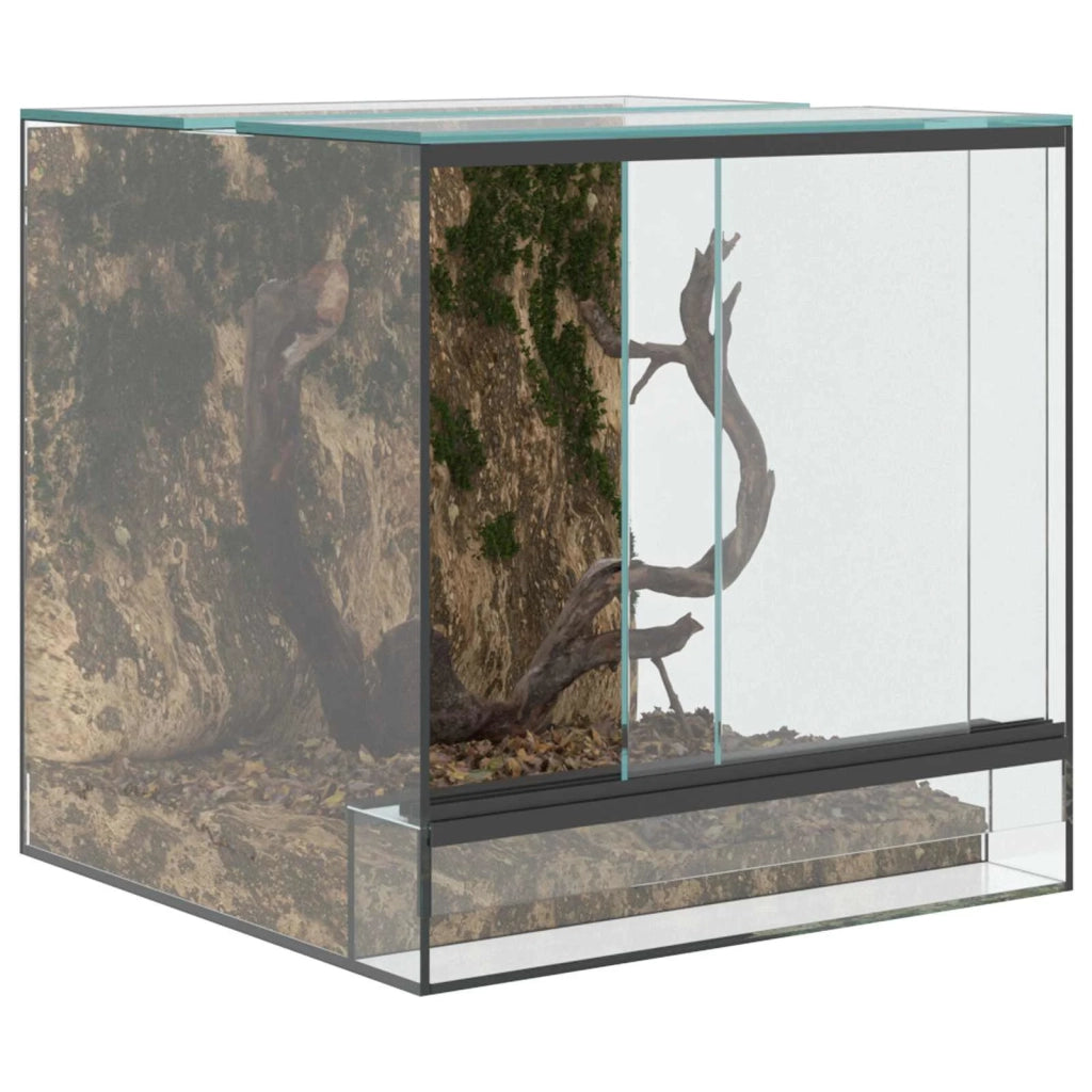 Terrario con archiviazione Trasparente 30 x 30 x 30 cm Vetro CFW9464165