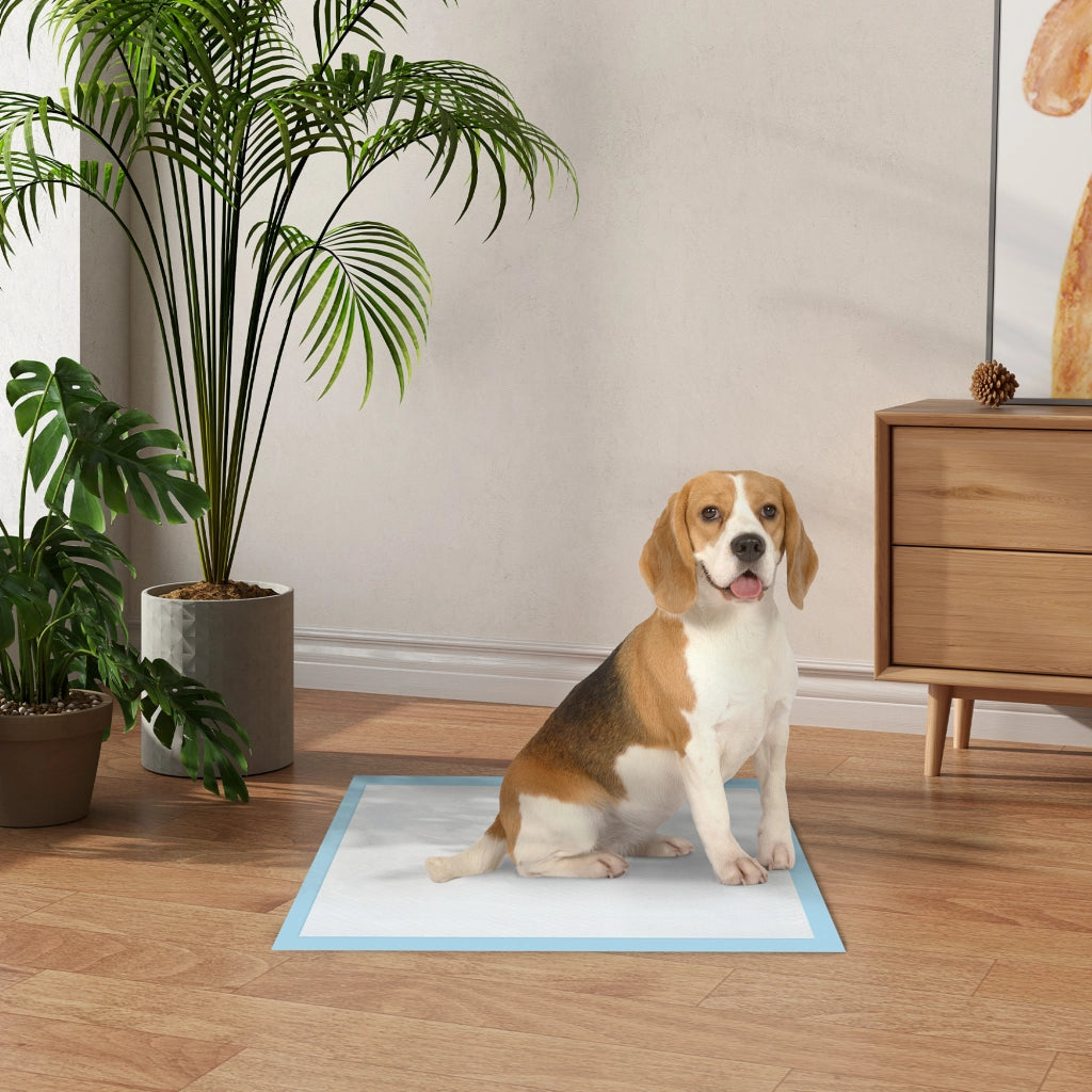 Tappetini Assorbenti per Cani ¨C zephmum ¨C 60x60 cm Blu 6 Strati