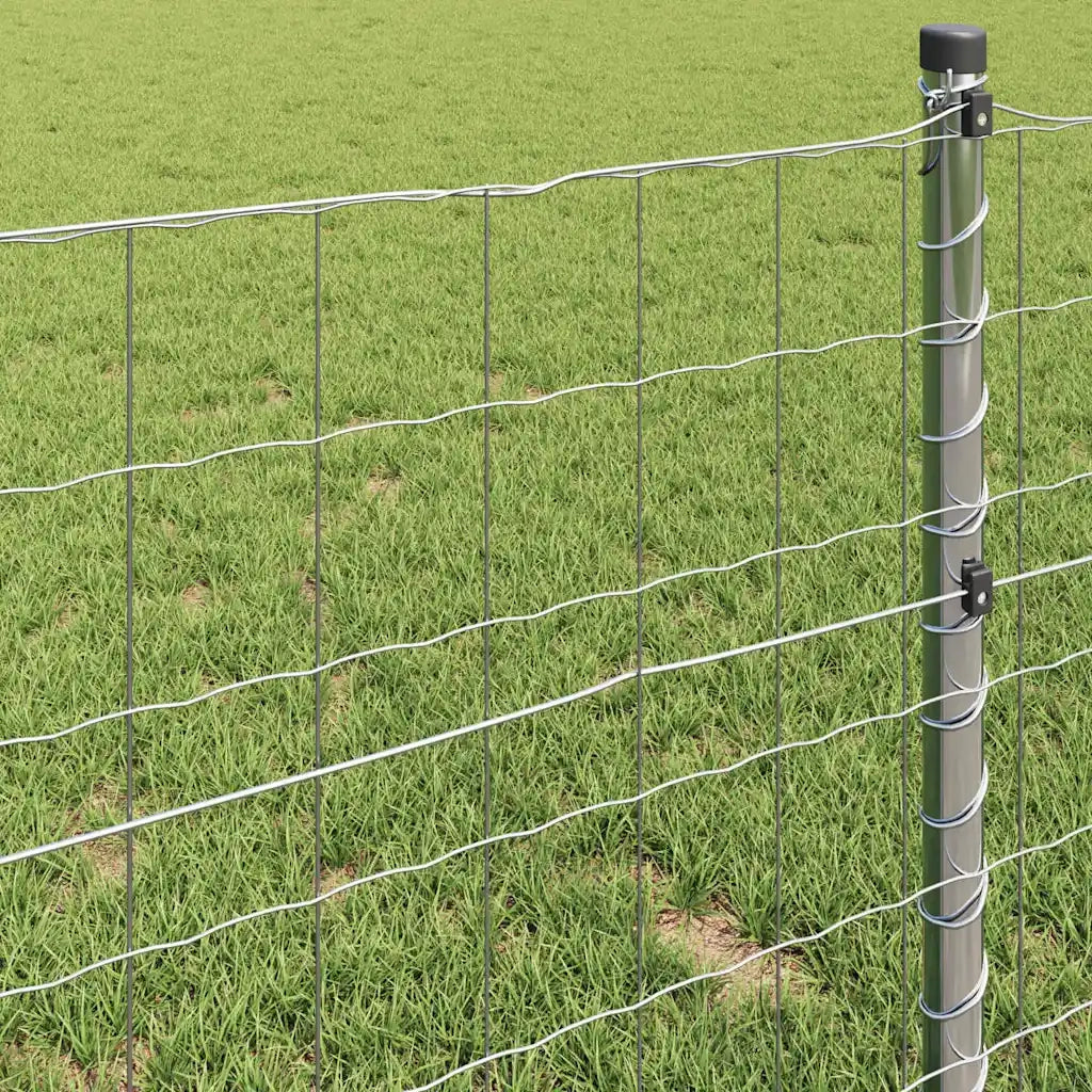 Recinzione Euro 1 x 25 m Ferro rivestito in PVC 42004685