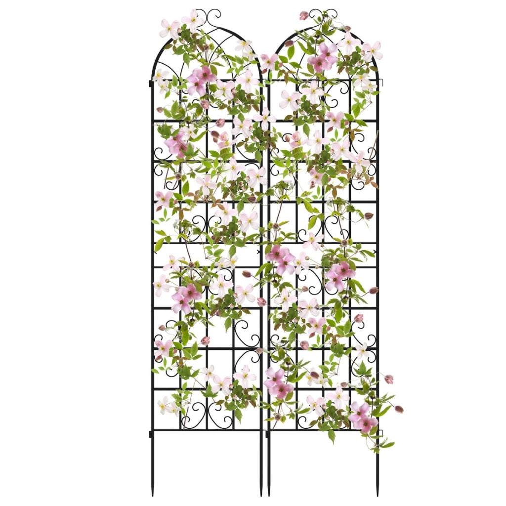 Arco da giardino 220x55cm in metallo, Pergola decorativa da esterno per piante rampicanti fiori verdure Nero 2 Pezzi-Decorazioni da giardino