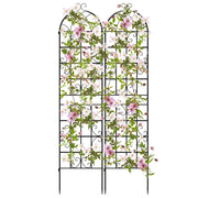Arco da giardino 220x55cm in metallo, Pergola decorativa da esterno per piante rampicanti fiori verdure Nero 2 Pezzi-Decorazioni da giardino