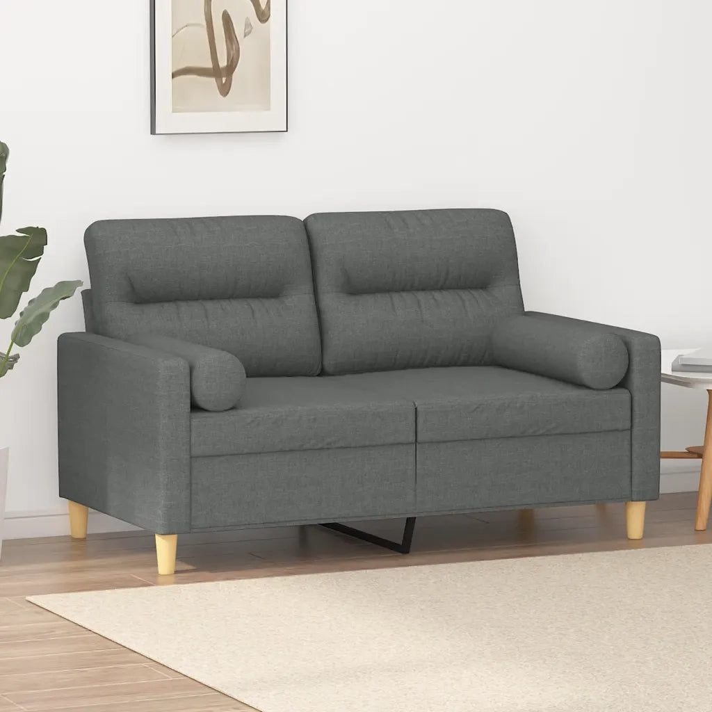 Divano | Divano da soggiorno | Sofa a 2 Posti con Cuscini Grigio Scuro 120 cm in Tessuto