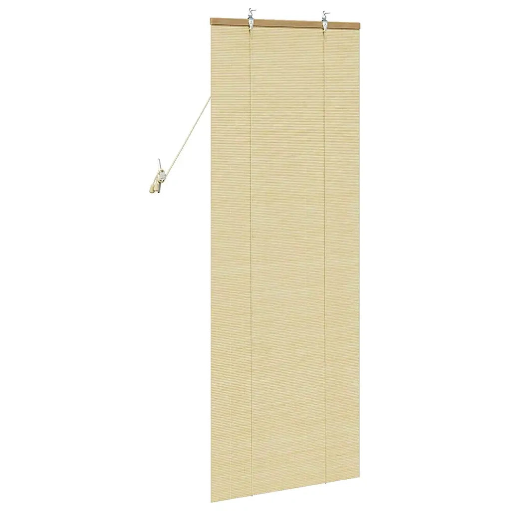 Tenda a rullo con tende Natura 60 x 160 cm Bambù 42006878