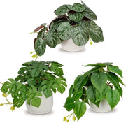 Decorazioni da muro artificiali in ceramica - Set da 3 - Monstera e Philodendron - Decorazione moderna per interni per casa, ufficio, bagno e cucina